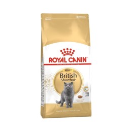 Royal Canin British Shorthair Adult Yetişkin Kedi Maması 4 kg