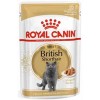 Royal Canin British Shorthair Yetişkin Kedi Konservesi 85gr