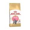 Royal Canin British Shorthair Kitten Yavru Kedi Maması 2 kg