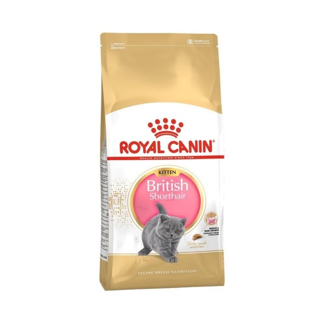 Royal Canin British Shorthair Kitten Yavru Kedi Maması 2 kg