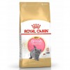 Royal Canin British Shorthair Kitten Yavru Kedi Maması 2 Kg
