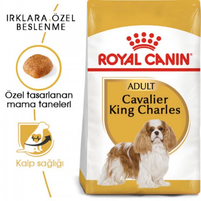 Royal Canin Cavalier King Charles Adult Yetişkin Köpek Maması 1.5 Kg