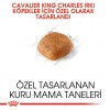 Royal Canin Cavalier King Charles Adult Yetişkin Köpek Maması 1.5 Kg