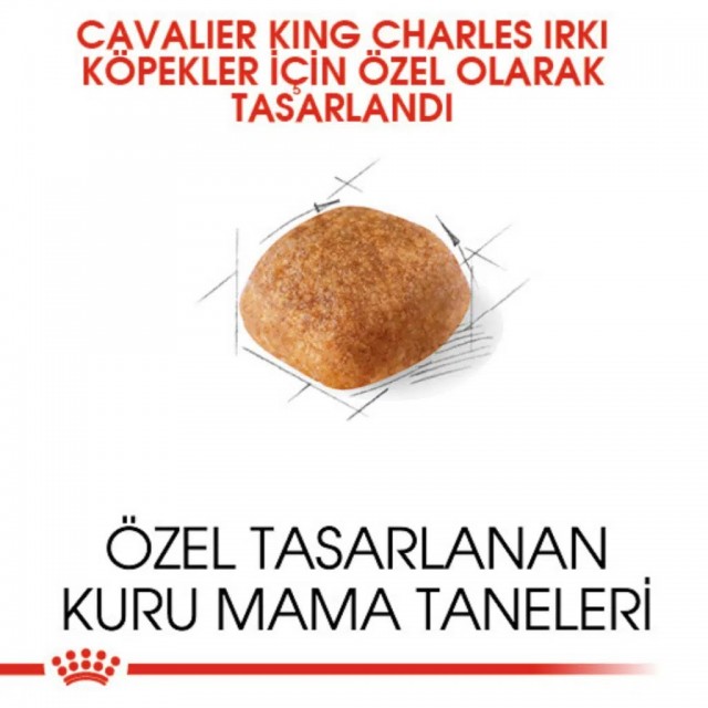 Royal Canin Cavalier King Charles Adult Yetişkin Köpek Maması 1.5 Kg