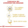 Royal Canin Chihuahua Yetişkin Köpek Konservesi 85gr