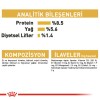 Royal Canin Chihuahua Yetişkin Köpek Konservesi 85gr