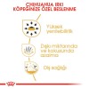 Royal Canin Chihuahua Yetişkin Köpek Maması 1,5kg