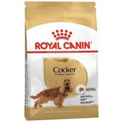 Royal Canin Cocker Yetişkin Köpek Maması 3kg
