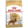 Royal Canin Cocker Yetişkin Köpek Maması 3kg