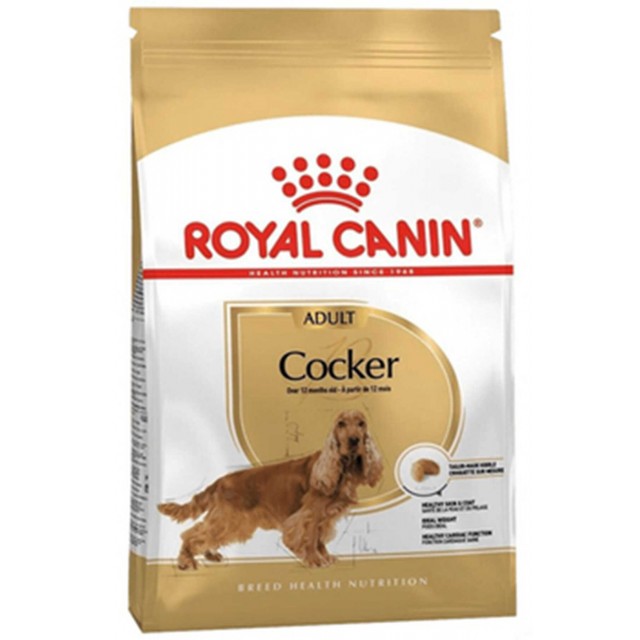 Royal Canin Cocker Yetişkin Köpek Maması 3kg