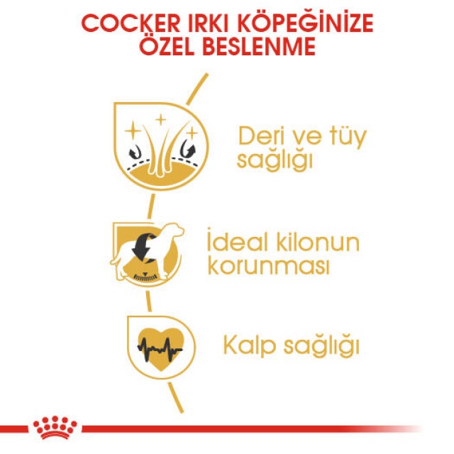 Royal Canin Cocker Yetişkin Köpek Maması 3kg
