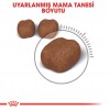 Royal Canin Dental Care Yetişkin Kedi Maması 1.5 Kg