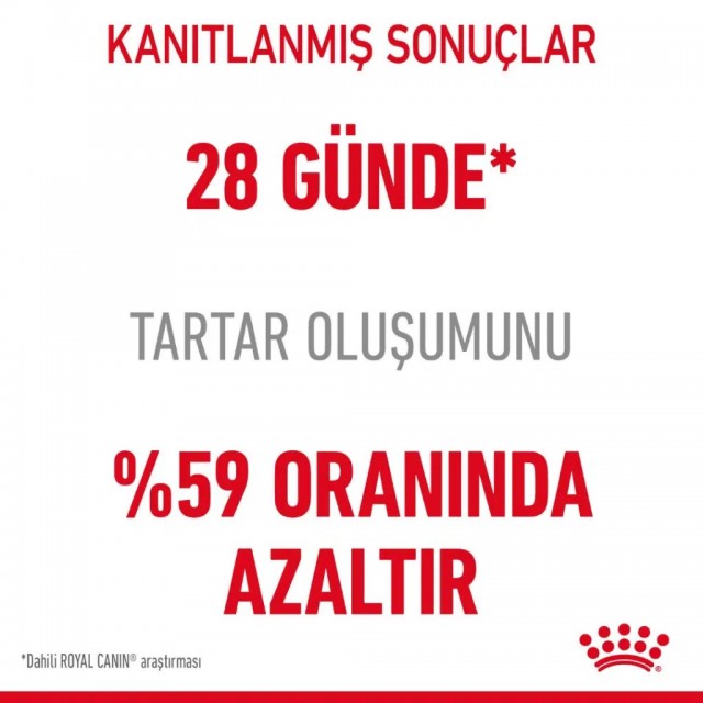 Royal Canin Dental Care Yetişkin Kedi Maması 1.5 Kg