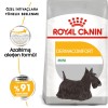 Royal Canin Dermacomfort Mini Hassas Derili Küçük Irk Köpek Maması 3kg