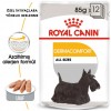 Royal Canin Dermacomfort Pouch Köpek Yaş Maması 85 Gr