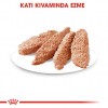 Royal Canin Dermacomfort Pouch Köpek Yaş Maması 85 Gr