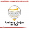 Royal Canin Dermacomfort Pouch Köpek Yaş Maması 85 Gr