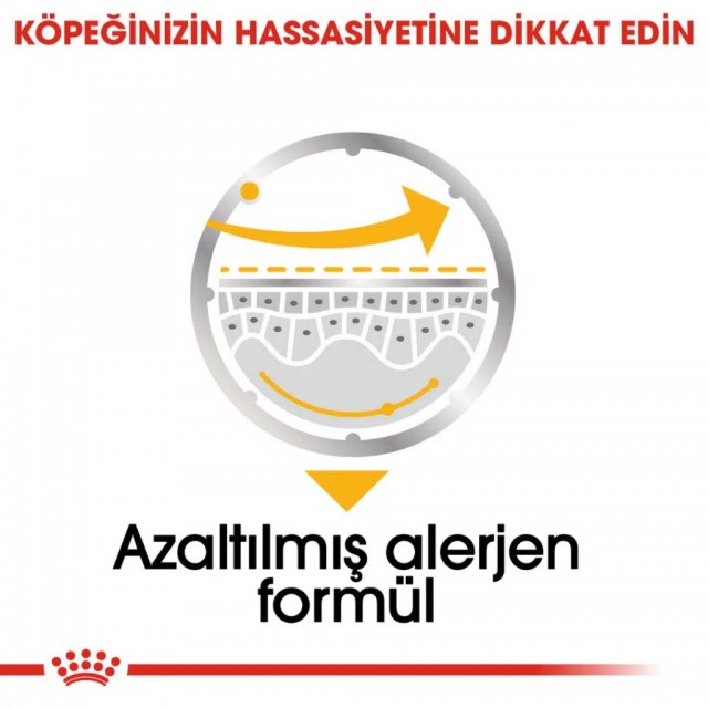 Royal Canin Dermacomfort Pouch Köpek Yaş Maması 85 Gr