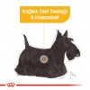 Royal Canin Dermacomfort Pouch Köpek Yaş Maması 85 Gr
