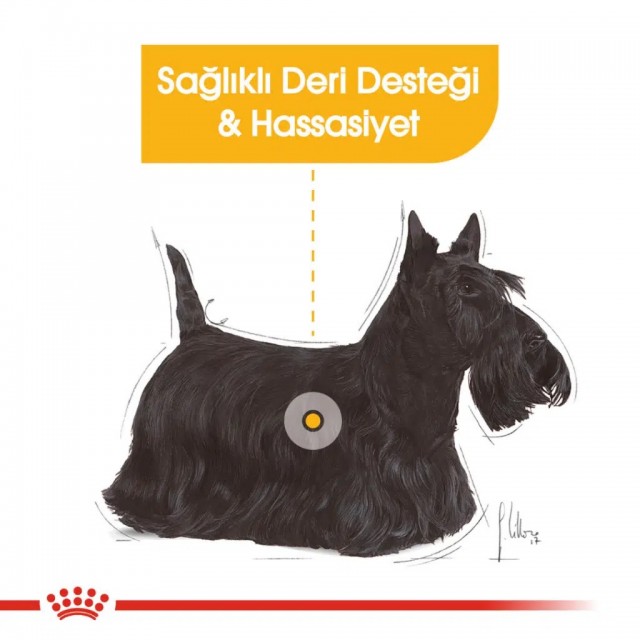 Royal Canin Dermacomfort Pouch Köpek Yaş Maması 85 Gr