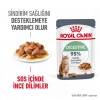 Royal Canin Digestive Sensitive Gravy Pouch Kedi Yaş Maması 85 Gr