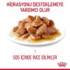 Royal Canin Digestive Sensitive Gravy Pouch Kedi Yaş Maması 85 Gr