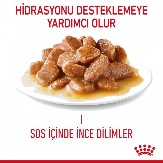 Royal Canin Digestive Sensitive Gravy Pouch Kedi Yaş Maması 85 Gr