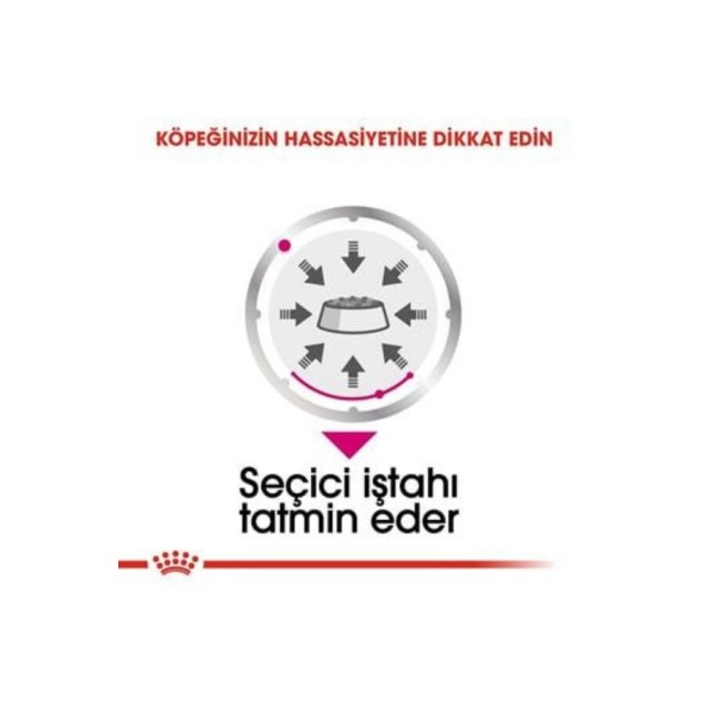Royal Canin Exigent Seçici Köpek Konservesi 85gr (12 Adet)