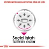 Royal Canin Exigent Seçici Köpek Konservesi 85gr