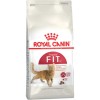 Royal Canin Fit 32 Yetişkin Kedi Maması 15 Kg