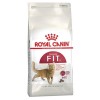 Royal Canin Fit 32 Yetişkin Kuru Kedi Maması 10 kg