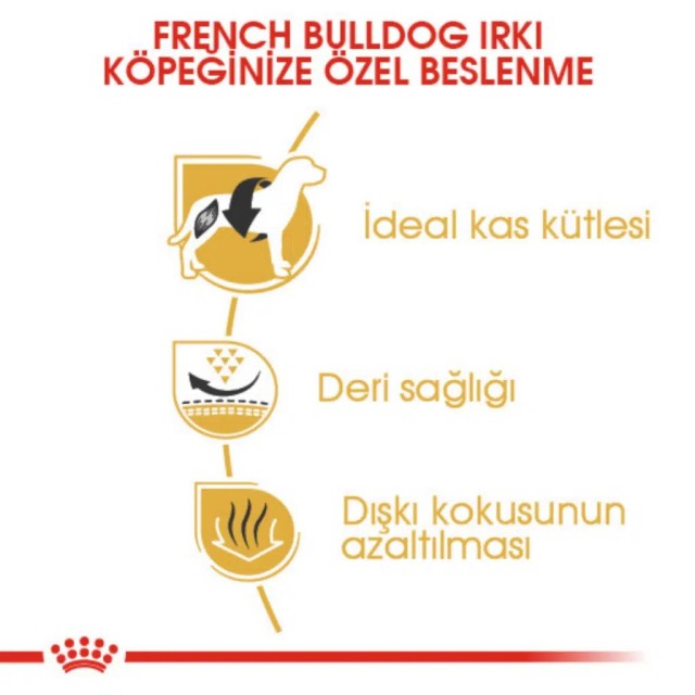 Royal Canin French Bulldog Adult Yetişkin Köpek Maması 3 Kg