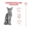 Royal Canin Fussy Exigent Yetişkin Kedi Maması 4 Kg