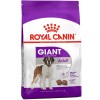 Royal Canin Giant Adult İri Irk Yetişkin Köpek Maması 15kg