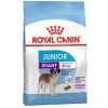 Royal Canin Giant Junior İri Irk Yavru Köpek Maması 15kg