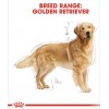 Royal Canin Golden Retriever Yetişkin Köpek Maması 12kg