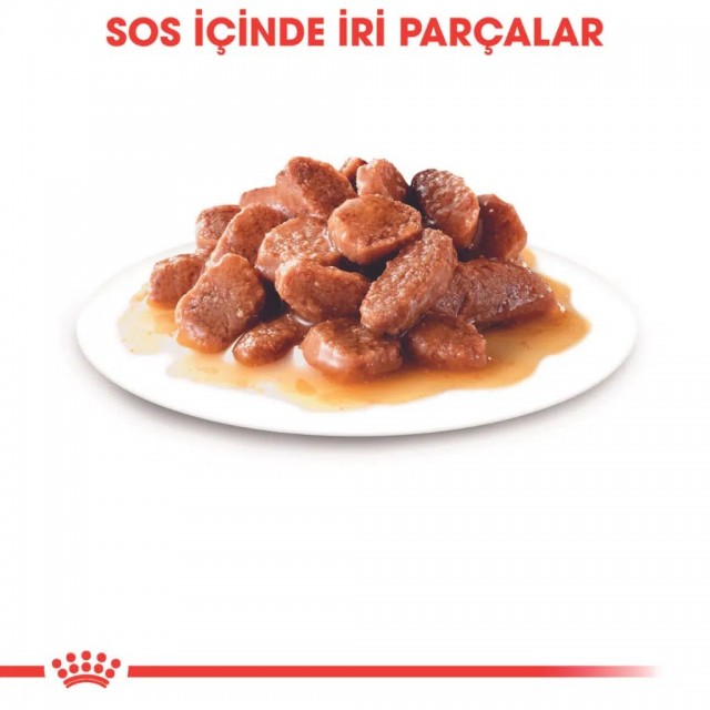 Royal Canin Hair & Skin Care Gravy Pouch Kedi Yaş Maması 85 Gr
