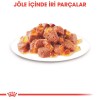 Royal Canin Hair & Skin Care Jelly Pouch Kedi Yaş Maması 85 Gr