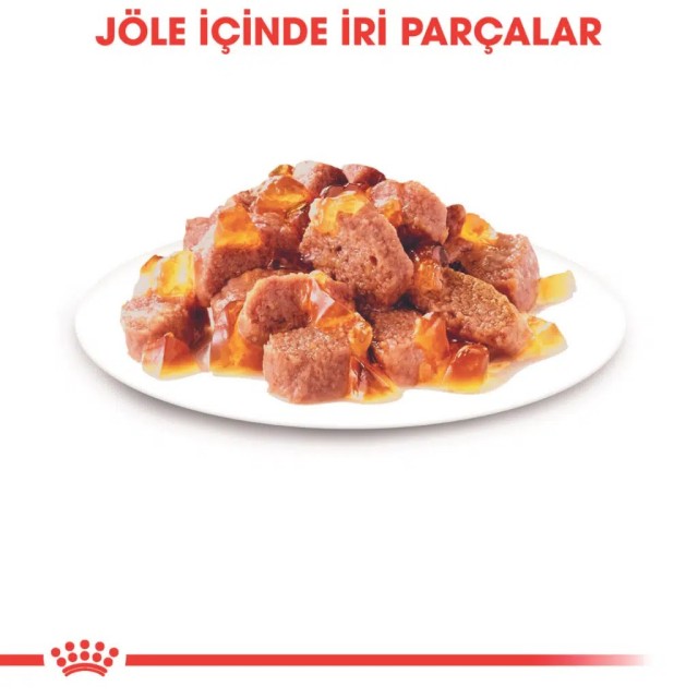 Royal Canin Hair & Skin Care Jelly Pouch Kedi Yaş Maması 85 Gr