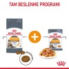Royal Canin Hair & Skin Care Jelly Pouch Kedi Yaş Maması 85 Gr