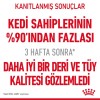 Royal Canin Hair & Skin Care Yetişkin Kedi Maması 2 Kg