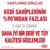 Royal Canin Hair & Skin Care Yetişkin Kedi Maması 4 Kg
