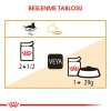 Royal Canin Hair&Skin Gravy Kedi Konservesi 85gr