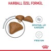 Royal Canin Hairball Care Yetişkin Kedi Maması 2 Kg
