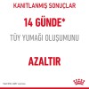 Royal Canin Hairball Care Yetişkin Kedi Maması 2 Kg