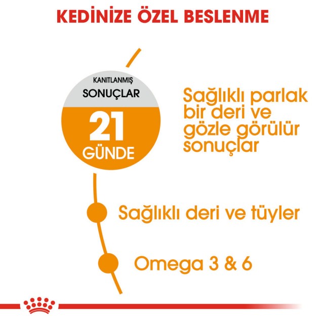 Royal Canin Hair & Skin Deri Ve Tüy Sağlığı İçin Yetişkin Kedi Maması 10kg