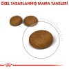 Royal Canin Hair & Skin Deri Ve Tüy Sağlığı İçin Yetişkin Kedi Maması 10kg
