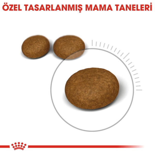 Royal Canin Hair & Skin Deri Ve Tüy Sağlığı İçin Yetişkin Kedi Maması 10kg