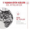 Royal Canin Healthy Ageing 11+ Yaşlı Kedi Maması 2 Kg