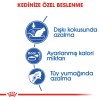 Royal Canin Indoor 27 Ev Kedileri için Yetişkin Kedi Maması 2kg